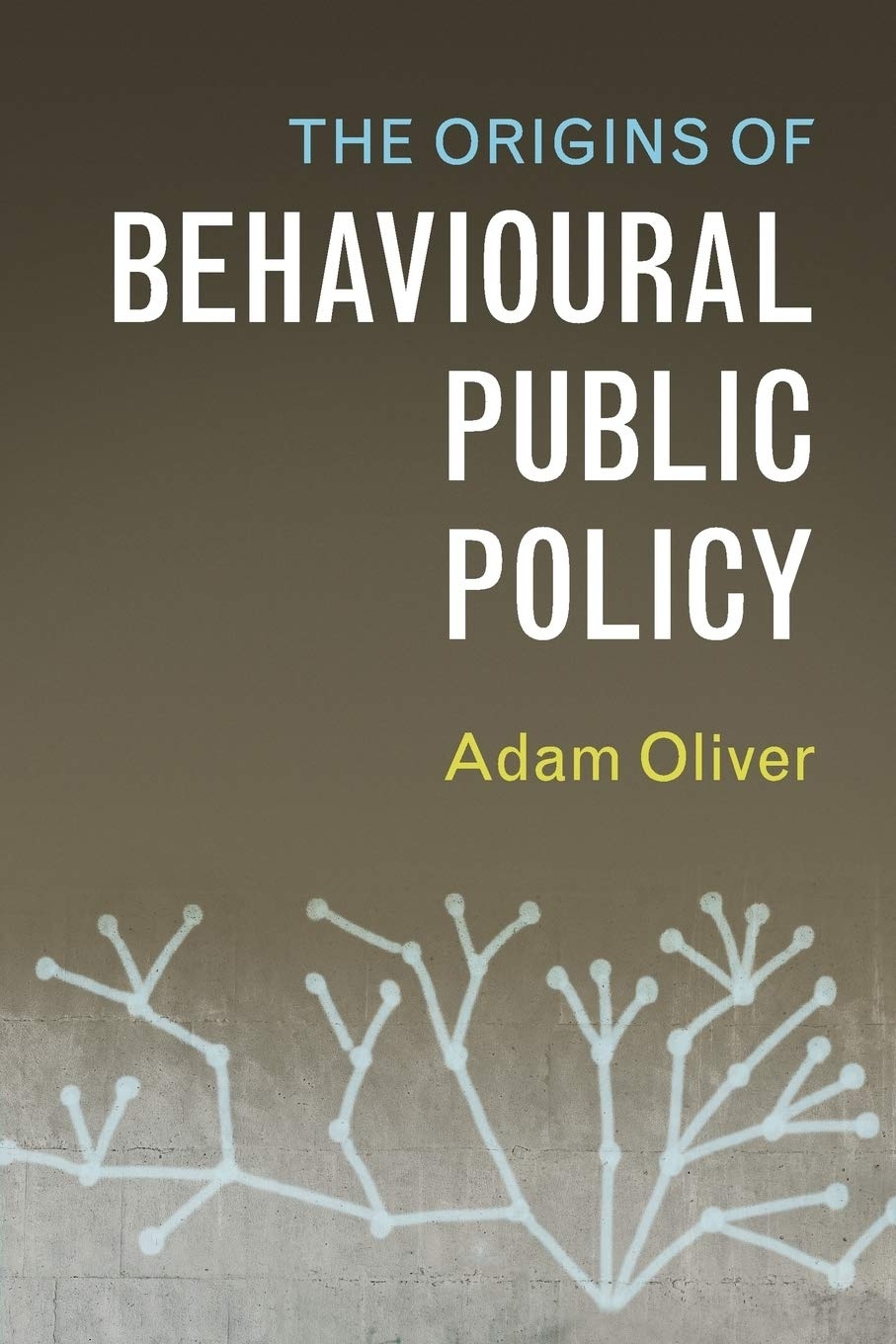 The Origins of Behavioural Public Policy