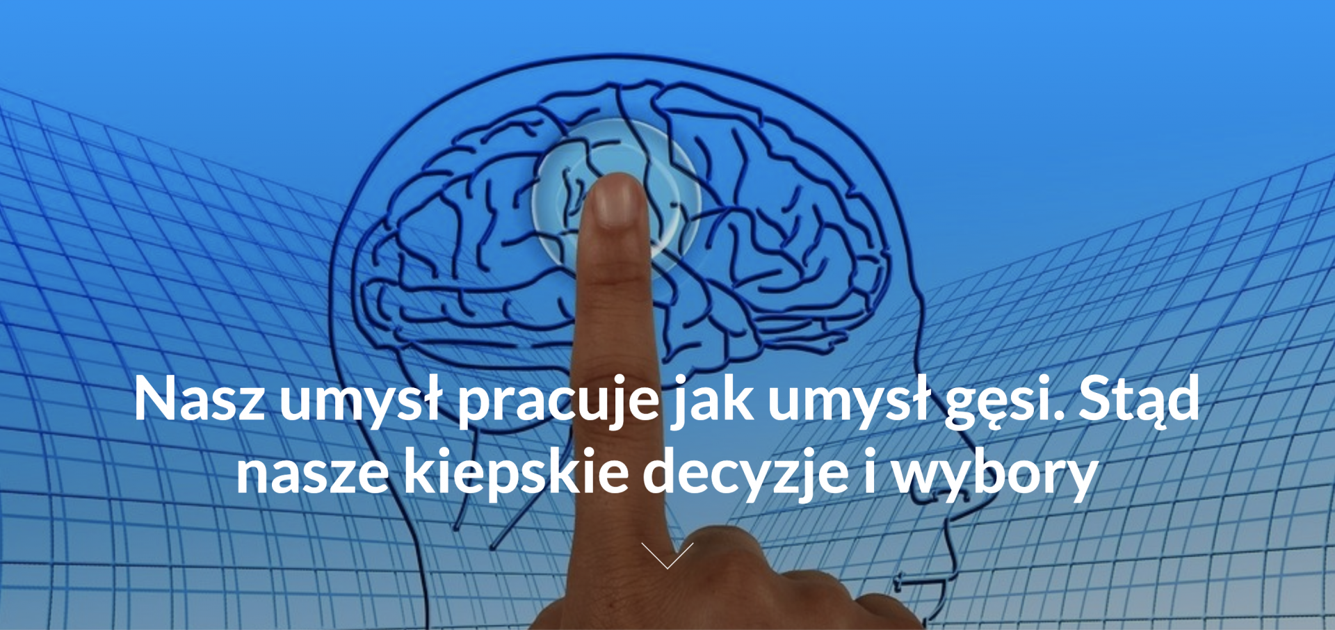 Dziennik Polski: Nasz umysł pracuje jak umysł gęsi