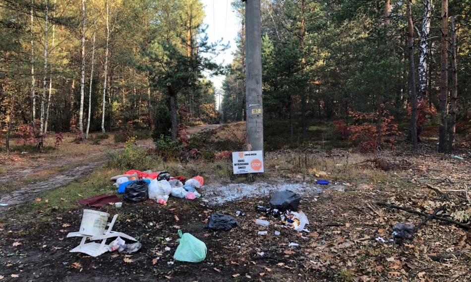 Z życia wzięte: Kilka lekcji behawioralnych o (nie)śmieceniu w lesie
